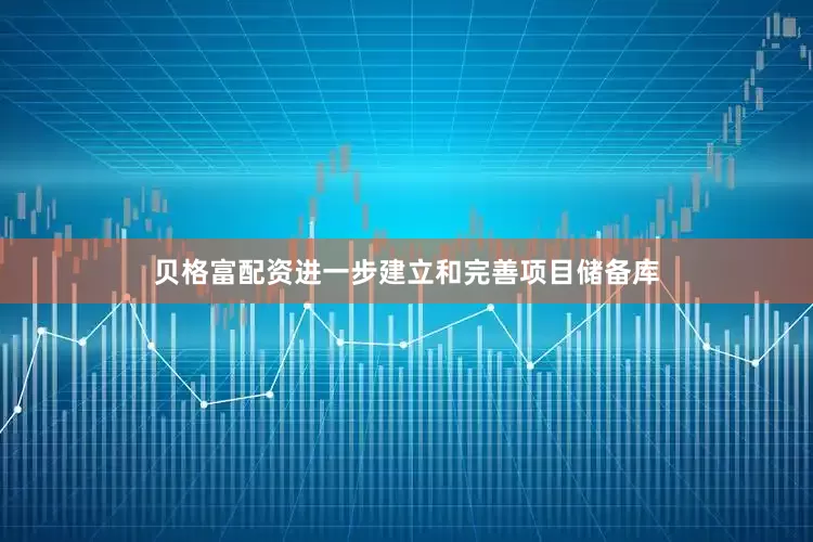 贝格富配资进一步建立和完善项目储备库