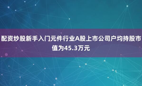 配资炒股新手入门元件行业A股上市公司户均持股市值为45.3万元