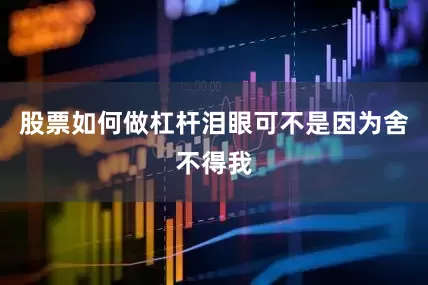 股票如何做杠杆泪眼可不是因为舍不得我