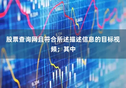 股票查询网且符合所述描述信息的目标视频；其中