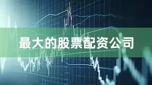 最大的股票配资公司